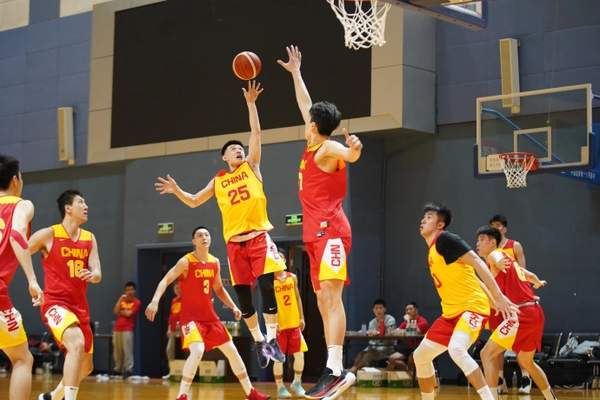 杨瀚森NBA选秀前景分析：潜力与挑战并存